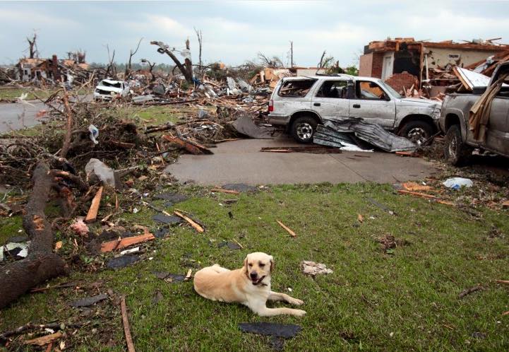 Pets and Natural Disasters