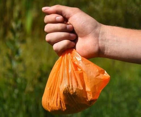 FIVE REASONS TO SCOOP POOP