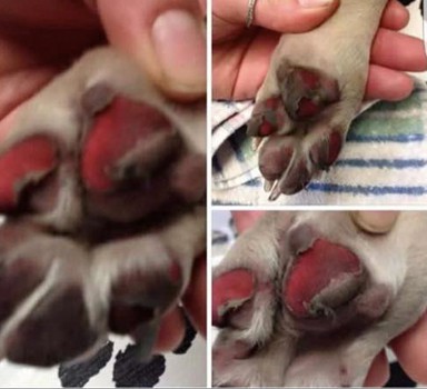 Photo courtesy of godfruits.tv.com