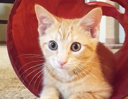 MY FUR BABY GAVE ME WHAT???