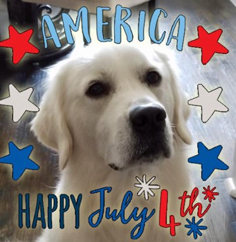 July 4th Safe Pet Tips