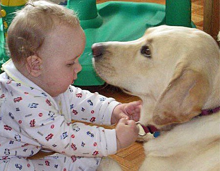 World Pet Memorial Day — Teeters, Jessie, Tanner