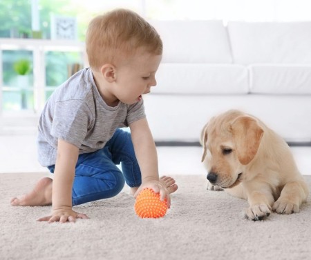 How Do I Socialize My Pup?