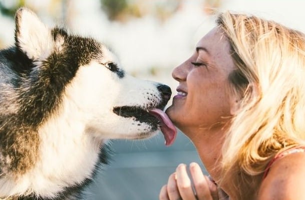 Why Do Dogs Lick?