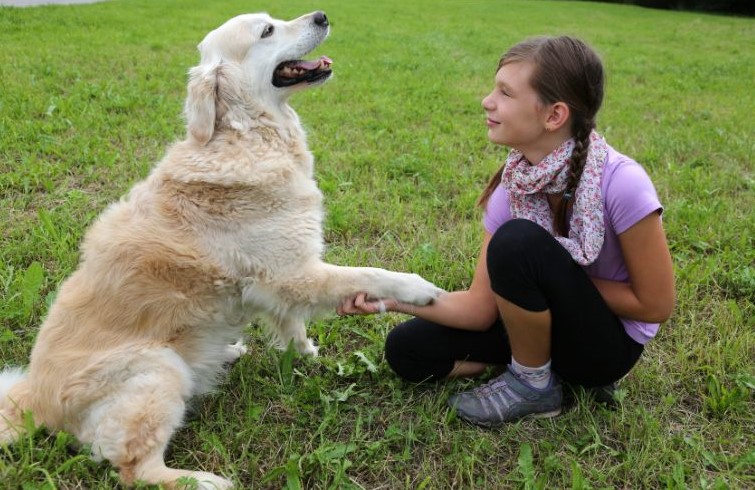 What Is the Best Dog for My Child’s Personality?