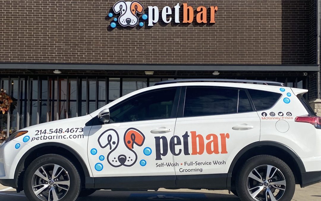 Petbar: Best Groomer in McKinney