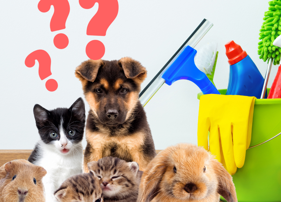 12 Tips for Pet Friendly Cleaning Supplies