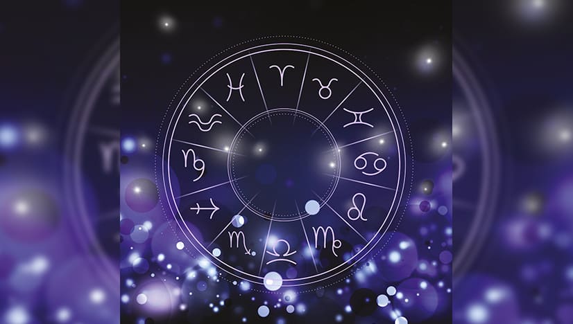 The Best Dog For Each Zodiac Sign