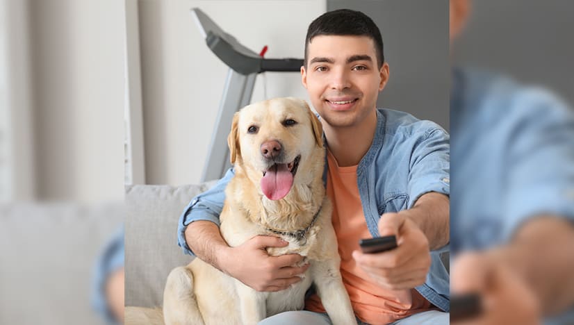 How to Throw a Dog Friendly Super Bowl Party