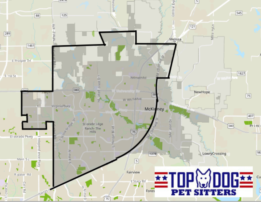 Boundary Map of McKinney TX