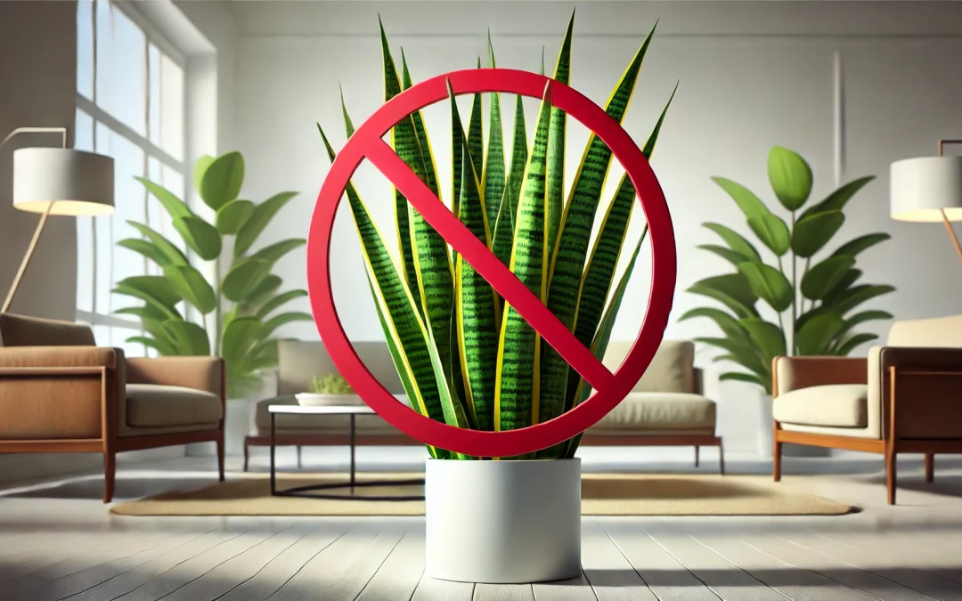 Houseplants that are safe for cats (and some to avoid)