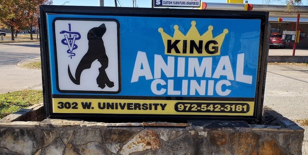 Our Favorite McKinney Veterinarians