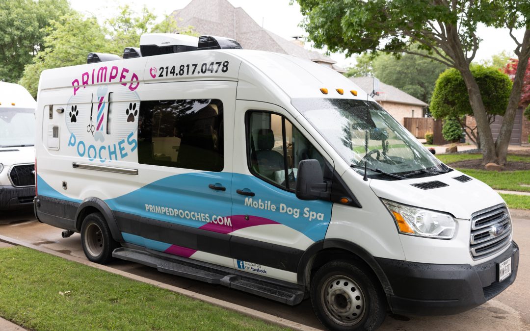 Our friend, pet groomer Bernadette Coleman